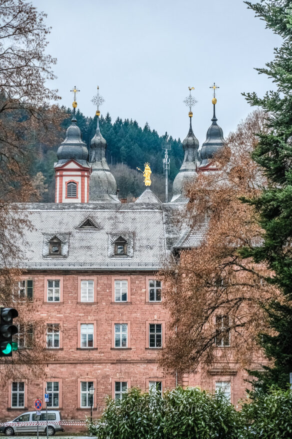 ODW-Bergstr_Weihnachtsmarkt_DSCF7795_web