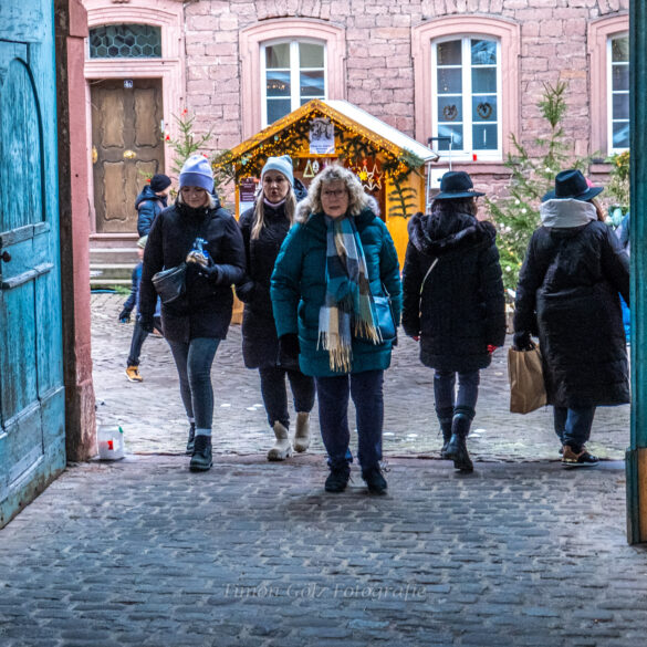 ODW-Bergstr_Weihnachtsmarkt_DSCF7929_web-2