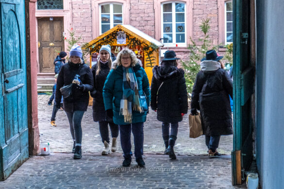 ODW-Bergstr_Weihnachtsmarkt_DSCF7929_web