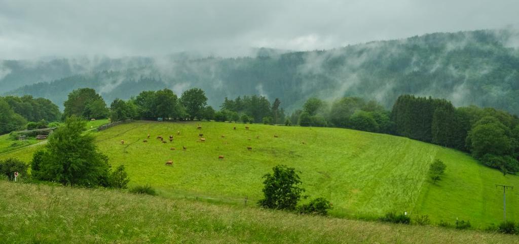 Panoramablick über das Finkenbachtal